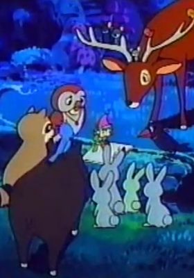 Peter of Placid Forest