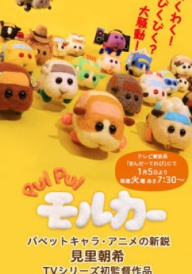 PUI PUI MOLCAR